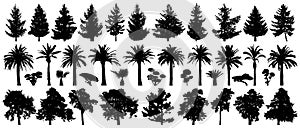 Trees set isolated. Forest background, nature, landscape. Pine, spruce, Christmas tree, palm tree, bushes. Silhouette vector