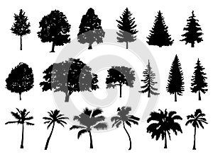 Trees set silhouette. Coniferous forest. Isolated tree on white background. Palm. vector illustration.