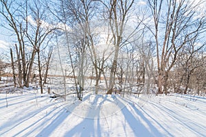 Trees and shadow of trees on snow on a beautiful sunny winter`s day with blue skies and puffy white clouds - in the Minnesota Val