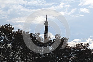 Trees shadows in famous place in Paris