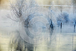 The trees and shadows in winter river