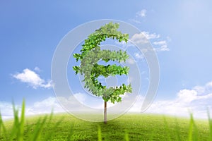 Trees in shape of euro sign business concept of growing prosperity