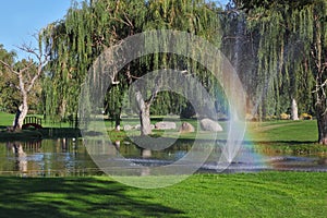 The trees and shining rainbow