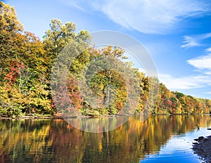 Trees on shore of Lake Surprise photo