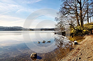 Trees on the shore of Lake Windermere