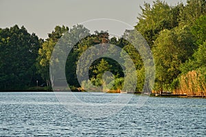 Trees on the shore of Pieskovna lake near Plavecky Stvrtok village on Zahorie