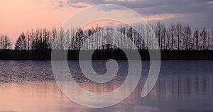 trees on the shore at sunset on the lake