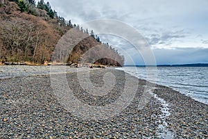 Trees And Shoreline 2