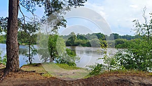 Trees and shrubs grow on the grassy banks of the river. A forest stands on the opposite bank. A strong wind drives clouds across t