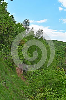 Trees and shrubs grow on the slopes of the mountain.