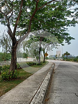 Trees on the side of a residential road in Jakarta during the dayt