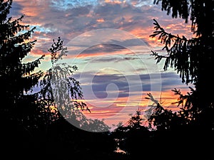 Trees silhouette in the colorful sky during sunset