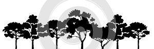 trees silhouette vector illustration