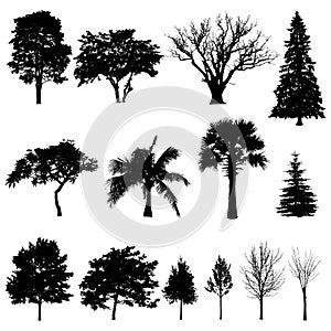 Trees_silhouettes