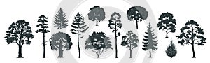 Trees silhouettes. Forest and park pines firs and spruces, coniferous and deciduous trees. Vector isolated nature set