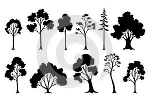 Trees silhouettes. Forest and park pines firs and spruces, coniferous and deciduous trees. Vector isolated retro images