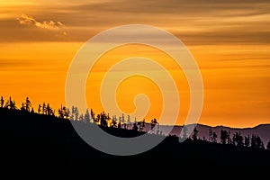 Siluety stromů v horách proti východu slunce. Tatry, Slovensko