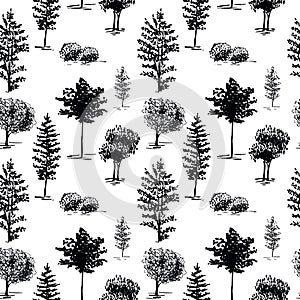 Trees, sketch pattern. Hand painted black trees on white background. Seamless wallpaper