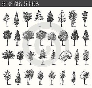 Trees sketch set, vintage vector style, hand drawn