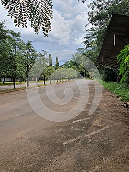 Trees and sky in rio claro photo