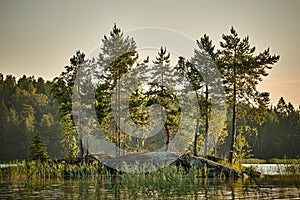 Trees on a small island surrounded by a waterscape