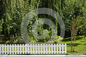 Trees and a small white fence