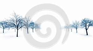 Trees in snow