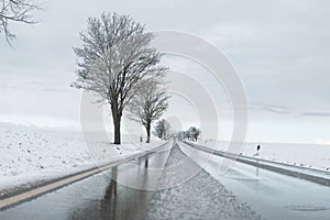 Trees in the snow along the road.Ice on the road. Slippery winter road.Danger of roads in winter