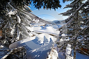 The trees and snow of China`s snow town