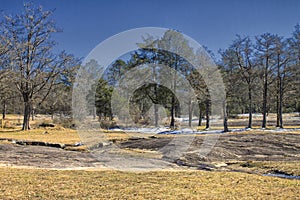 The Trees, Snow, and Rocks