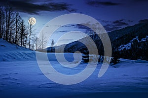 Trees on snowy meadow in mountains at night