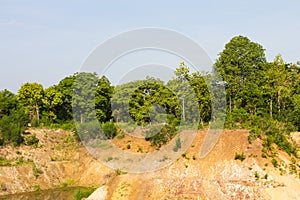 Trees on soil erosion