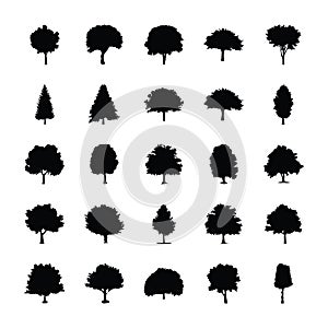 Trees Solid Vector