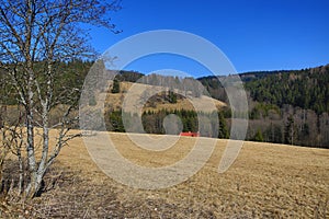 Trees, Spring Landscape, Hartmanice, Bohemian Forest (Å umava), Czech Republic