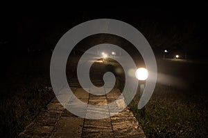 Trees and street lamps on a quiet foggy night. Foggy misty evening lamps in empty road