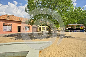 Trees in Sturovo town at Hlavna ulica street during spring