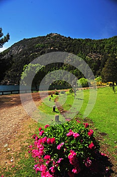 trees in summer and gardens san martin de los andes in neuquen without people and dith road neuquen argentina