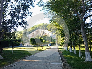 Trees in sunny day at the Maya Sports Complex, Santa Elena, Peten, Guatemala. natural concept