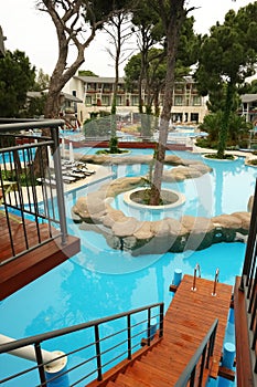 Trees in swimming pool.