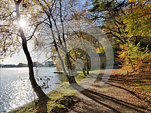 Trees at Talkin Tarn on an Autumn day.