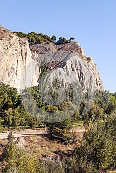 Trees in top of mountain