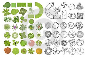 Trees top view. Different trees, plants vector set for architectural or landscape design. Set of linear and color flat  illustrati