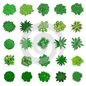Trees top view. Green plants, bushes, shrubs and trees for landscape or architectural design. Nature green spaces vector