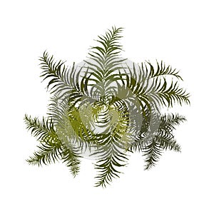 Trees top view for landscape vector illustration.