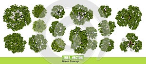 Trees top view for landscape vector illustration.