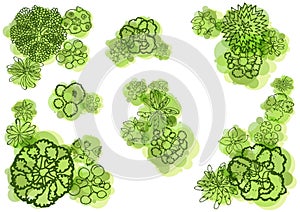 Trees top view for landscape vector illustration.