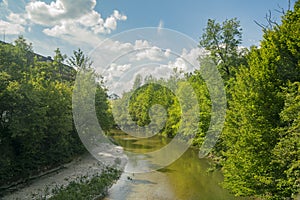 Trees and toss river