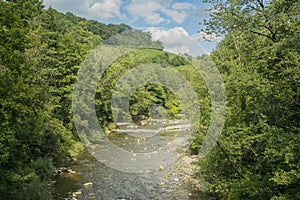 Trees and toss river