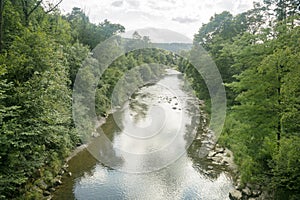 Trees and toss river