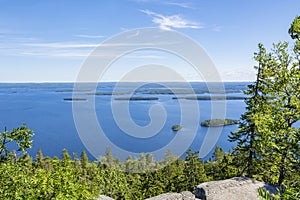 Trees on The Ukko-Koli Hill and view to Lake Pielinen on the background, Koli National Park, North Karelia, Finland